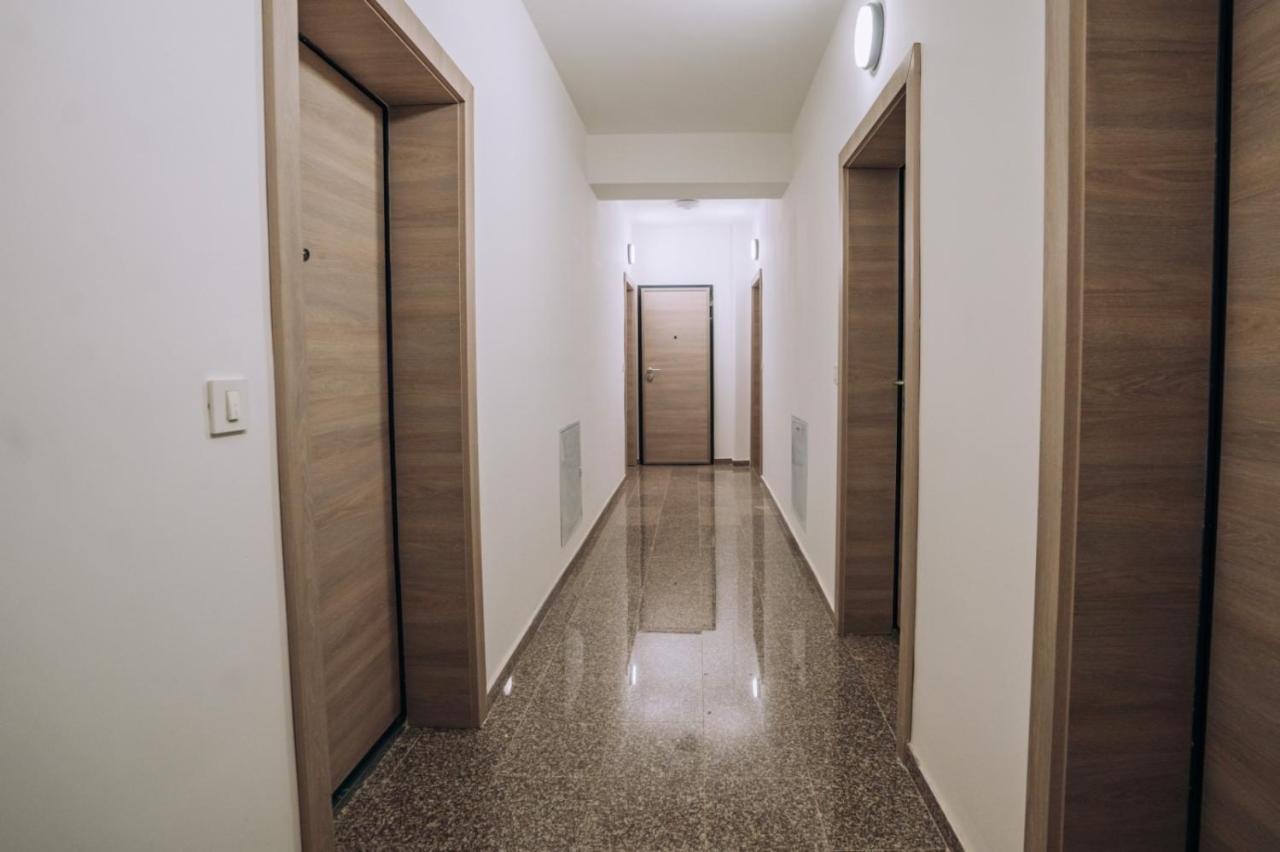 Leon Luxury * Ochryda